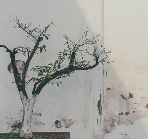 2024，開工前、開工後，一些近況