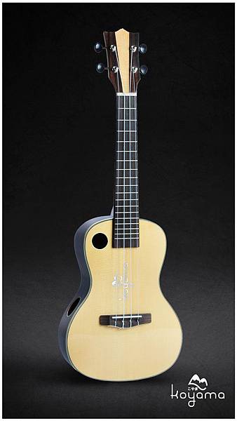 Resize of kym-c200-side.jpg