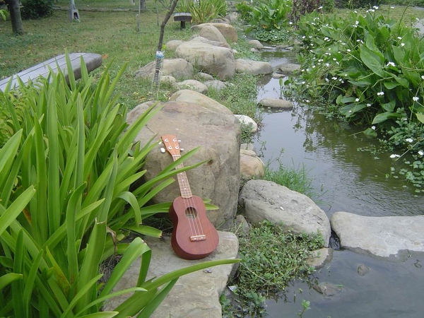 koyama ukulele 小山 烏克麗麗 