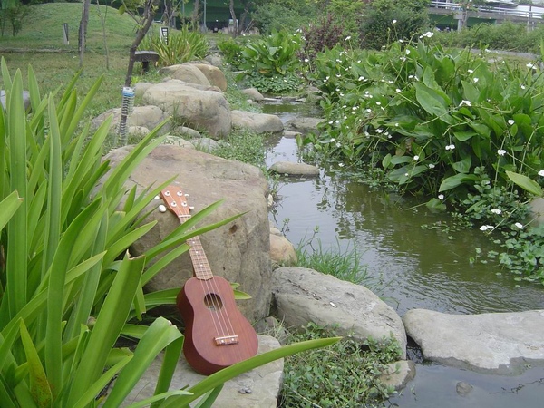 koyama ukulele 小山 烏克麗麗