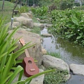 koyama ukulele 小山 烏克麗麗