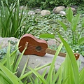 koyama ukulele 小山 烏克麗麗