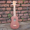 koyama ukulele 小山 烏克麗麗