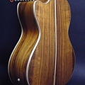 26  KOA BACK P.jpg