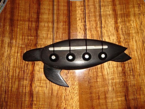 uke bridge turtle.jpg