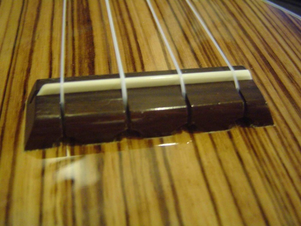 uke bridge zebra_2.jpg