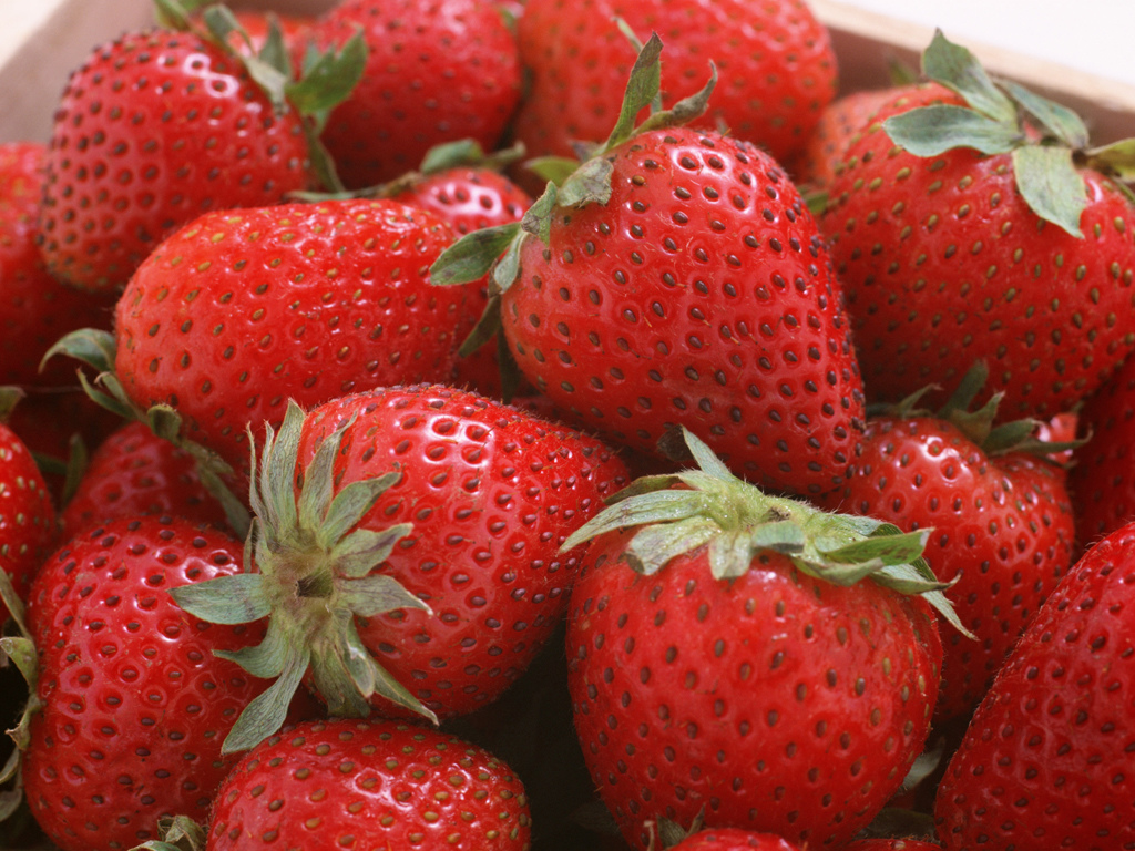 fruit_strawberry_wallpaper_AP17161.JPG