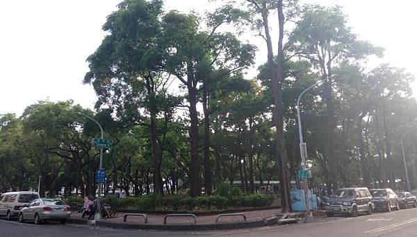 31003.jpg 31003.jpg
