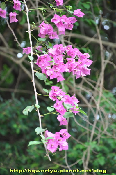 DSC_0023.jpg DSC_0023.jpg