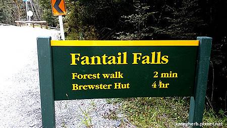 Fantail Falls