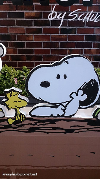 snoopy_11.jpg