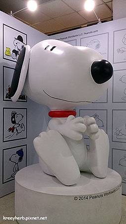 snoopy_13.jpg