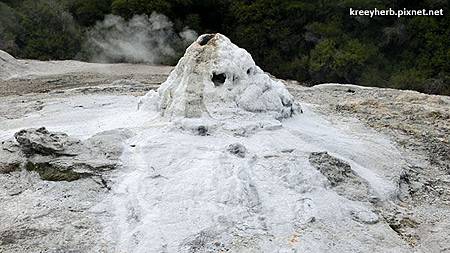 Lady Knox Geyser