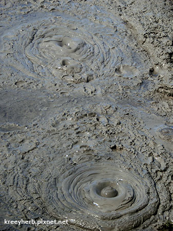 Wai-O-Tapu-Mud Pool