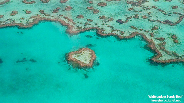 hardy reef_01.jpg