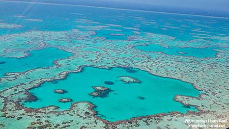 hardy reef_06.jpg