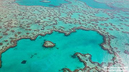 Whitsundays-Hardy Reef