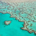 hardy reef_09.jpg