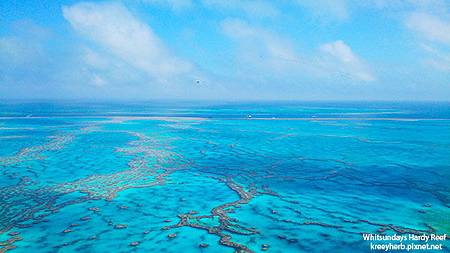 hardy reef_11.jpg