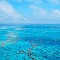 hardy reef_11.jpg