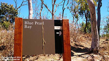 Hayman Island-Blue Pearl Bay