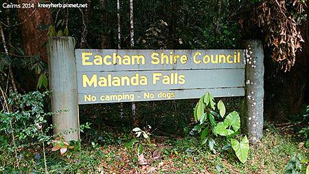 Cairns_Malanda Falls