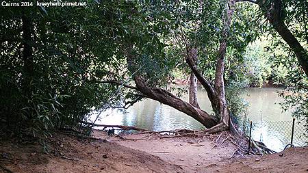 Cairns_Paronella park 帕羅尼拉公園