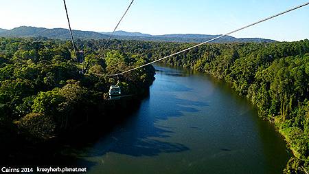 Cairns_Skyrail Rainforest Cableway