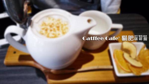 Catffee-Cafe-01.jpg