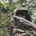 201905-東卯山-18.jpg