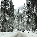 D18-Yosemite-10.jpg