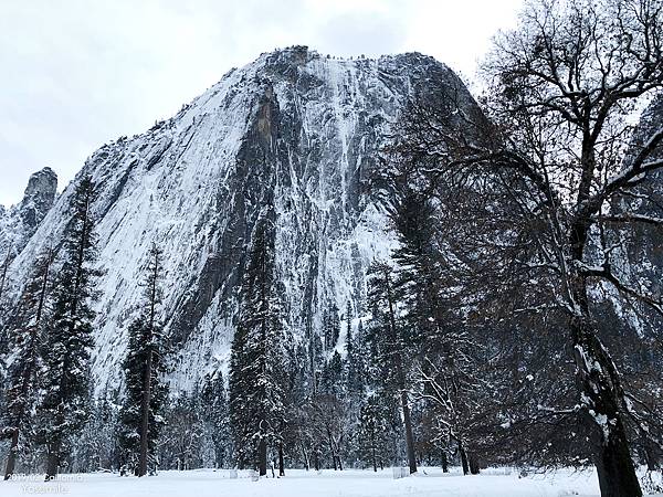 D18-Yosemite-37.jpg