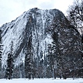 D18-Yosemite-37.jpg