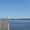 D20-AlcatrazIsland-32.jpg