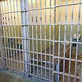 D20-AlcatrazIsland-41.jpg