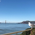 D20-AlcatrazIsland-68.jpg