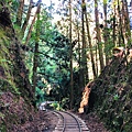 202011特富野古道-09.jpg