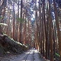 202011特富野古道-07.jpg