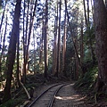 202011特富野古道-12.jpg