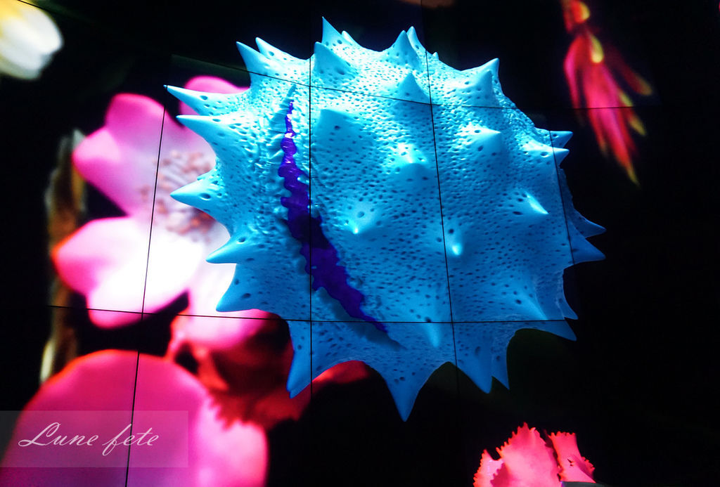 DSC00456 DSC00456