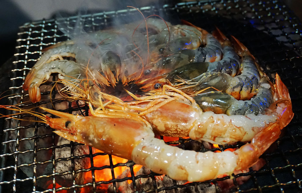 DSC05461 DSC05461