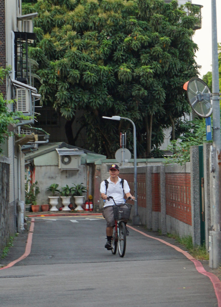 DSC01672.JPG 品陽大苑 建案 甲桂林 學府宅 二環捷運站 台北植物園 南門市場 中正紀年堂 歷史博物館 中正區建案