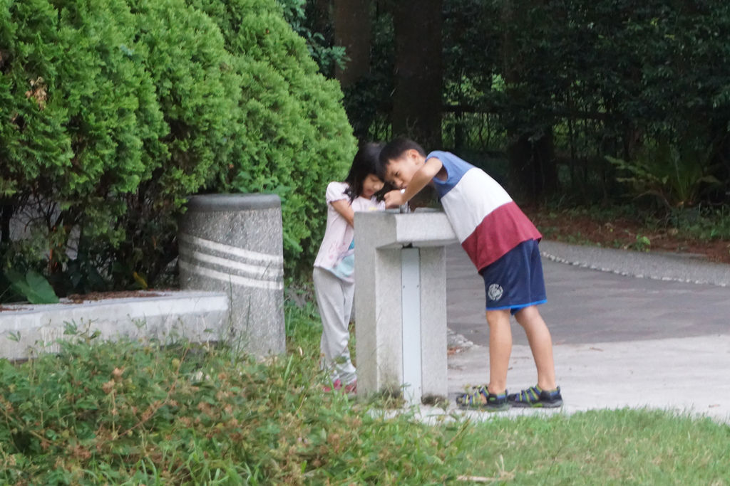 DSC01688 品陽大苑 建案 甲桂林 學府宅 二環捷運站 台北植物園 南門市場 中正紀年堂 歷史博物館 中正區建案