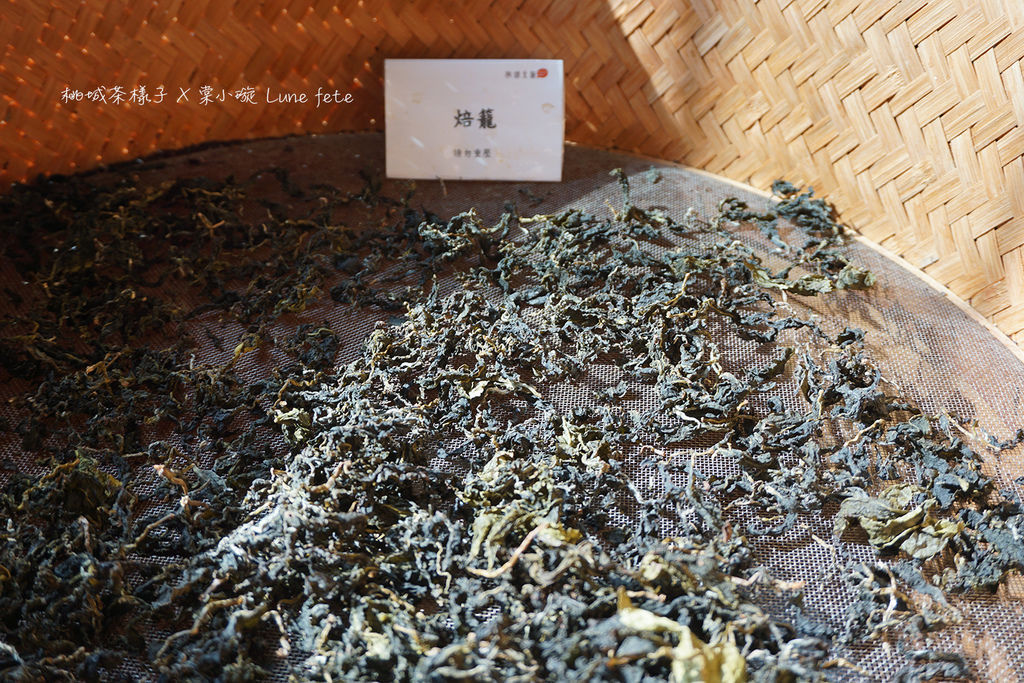 【嘉義推薦住宿/設計旅店】承億文旅-桃城茶樣子 全台最美飯店