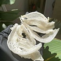 LINE_ALBUM_202352_230508_8.jpg