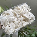 LINE_ALBUM_202352_230508.jpg