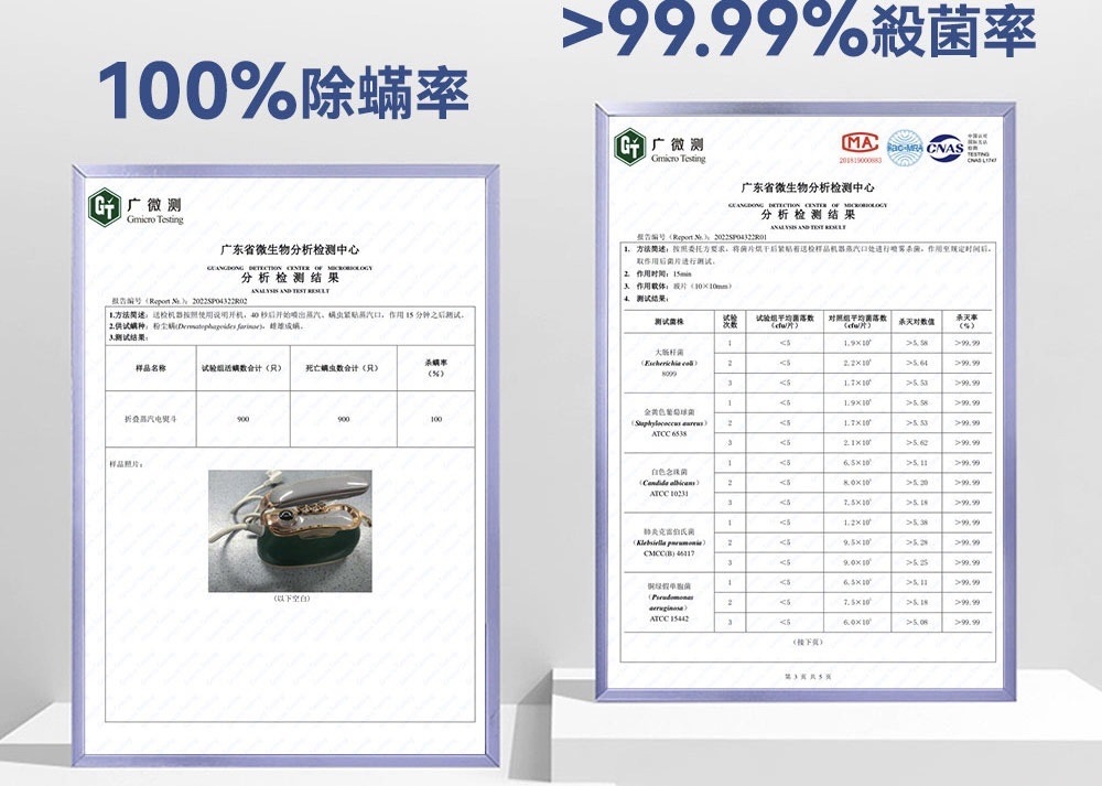 【韓國DAEWOO】2in1平/掛燙蒸氣熨斗 復古輕奢超美型