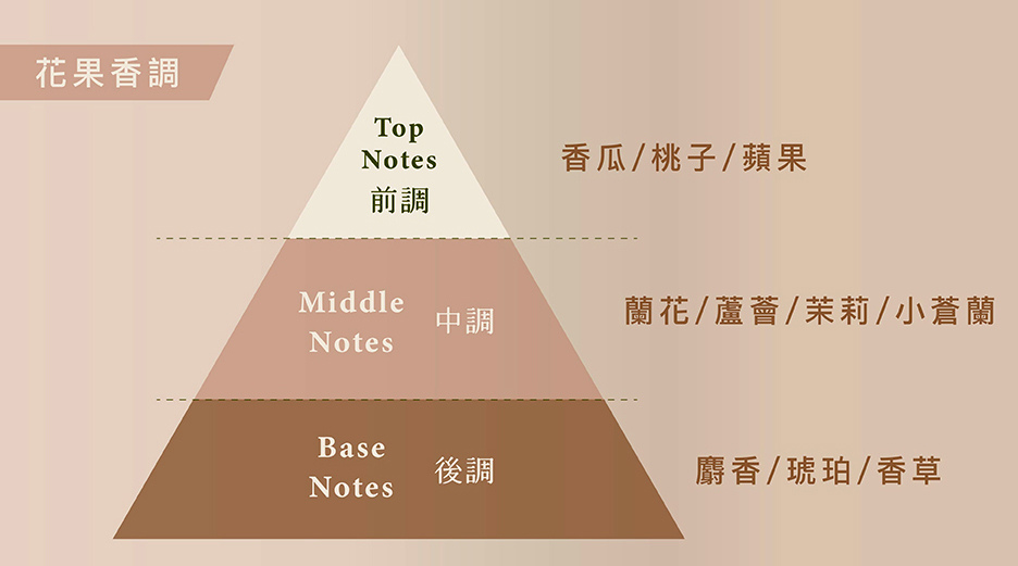 高光時刻就用 森挪威｜免沖洗結構護髮素養護髮絲 為百變造型打