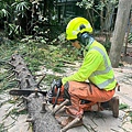 LINE_ALBUM_2024116_241106_2.jpg