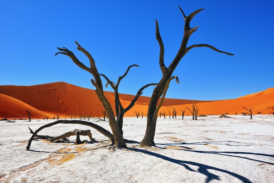 納米比亞沙漠 001.jpg
